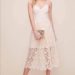 Astr Lace Midi Dress Buttercream Size S NWT